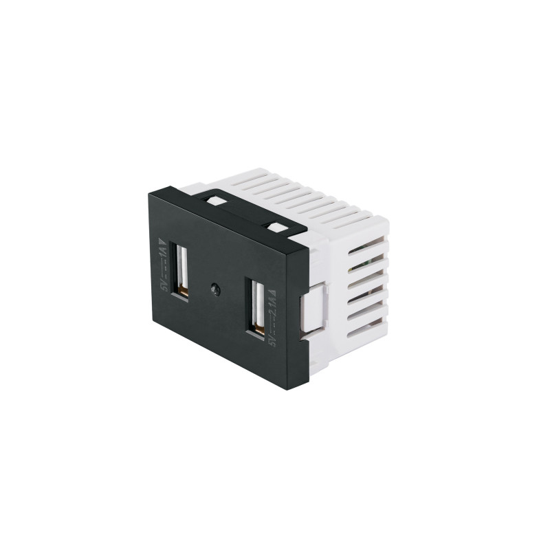 C2USB-LN Toma con 2 puertos USB negro de 1.5 módulos, línea Lisboa
