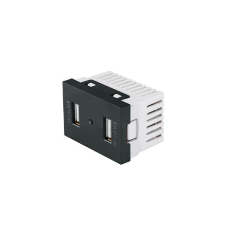 C2USB-LN Toma con 2 puertos USB negro de 1.5 módulos, línea Lisboa