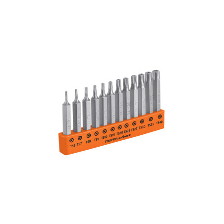 P12-2TS Juego de 12 puntas torx combinadas c/seguro largo 2', Expert