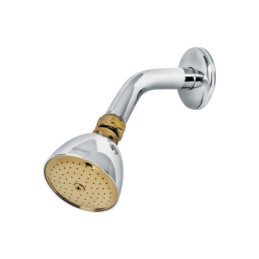 R-509G Regadera cónica 2-1/2' cromo-oro brazo y chapetón acero