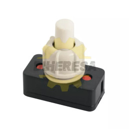 Interruptor De Presion "Push"