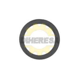N550196 O'RING