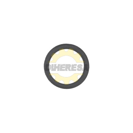 N550196 O'RING