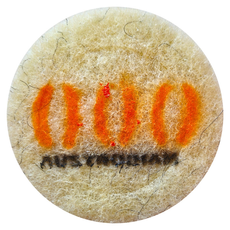 Pad de fibra con diamante para pulido de 5 Pulgadas.