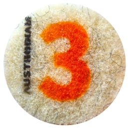 Pad de fibra con diamante para pulido de 5 Pulgadas.