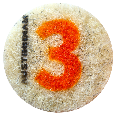 Pad de fibra con diamante para pulido de 5 Pulgadas.