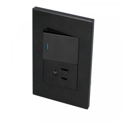 P624N SURTEK Placa con 1 Switch 1 Contacto 1/2 color negro